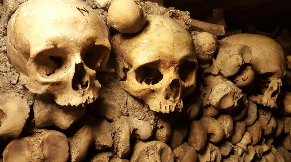 Paris Catacombs Ticket and Seine River Cruise